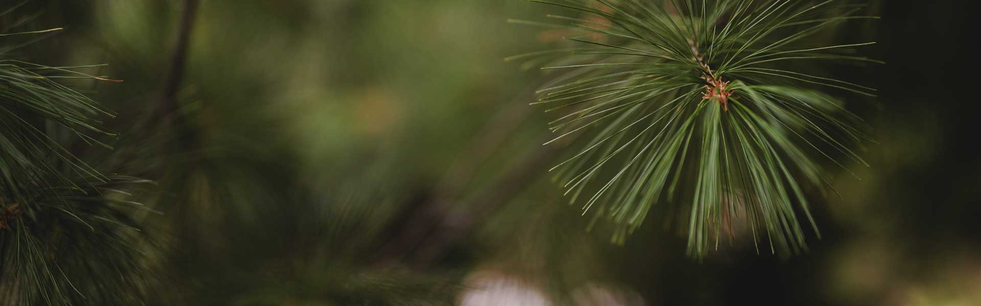 slider-image1